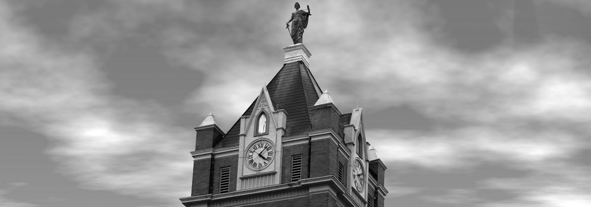 Palmyra Courthouse in Black and White
